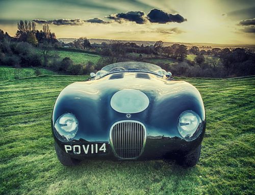 Nigel Harniman – “In the clearing stands a Jaguar C-Type”